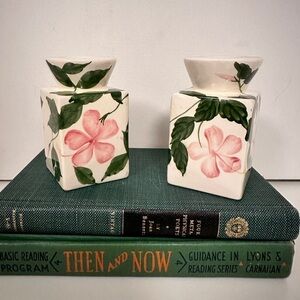Vintage wild rose ceramic hand painted countrycore candle stick holder